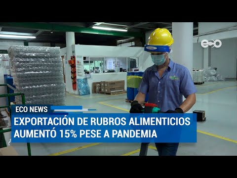 Exportación de rubros alimenticios panameños aumentó 15% | ECO News