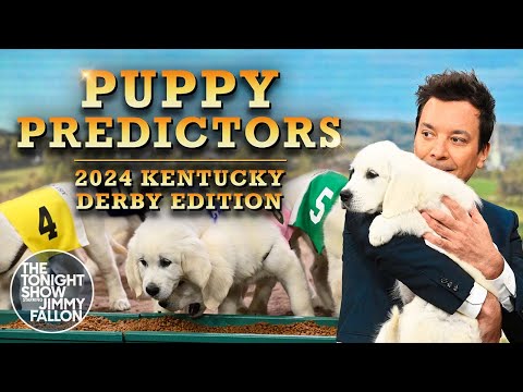 Puppies Predict the Winner of the 2024 Kentucky Derby | The Tonight Show Starring Jimmy Fallon