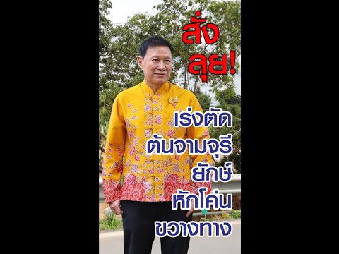 นายกพิชัยสั่งลุย!!!เร่งตัดต้