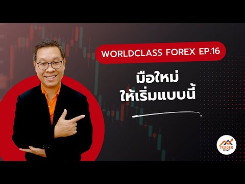 Forexสอนเทรด:892-มือใหม่