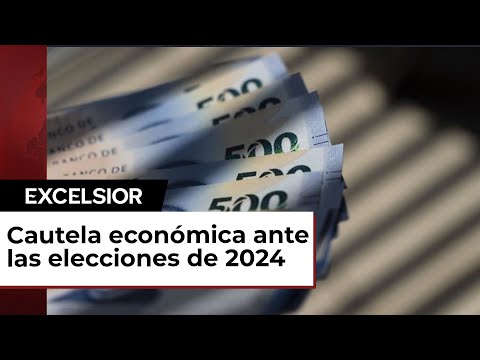 Cautela en Inversión y Consumo en el Panorama Económico Actual: CEESP