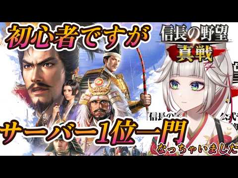 【完全初見！信長の野望真戦】5日目！初伊勢関所越えの卍時雨一門卍！初心者すぎて右も左もわかりませんが、頑張る！