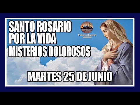 SANTO ROSARIO DE HOY POR LA VIDA: MISTERIOS DOLOROSOS - PROVIDA - MARTES 25 DE JUNIO DE 2024.