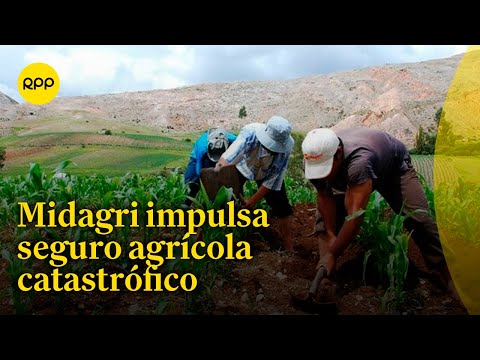 Midagri: Se implementa nuevo Seguro Agrícola Catastrófico para la campaña agrícola