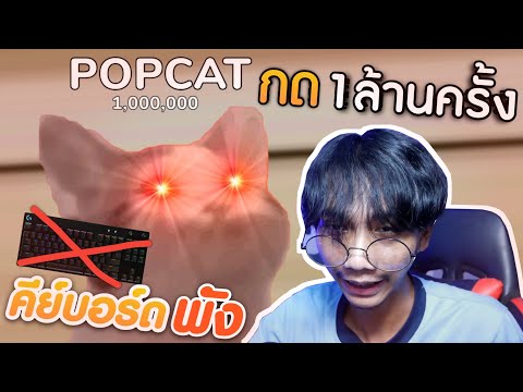 กด-POPCAT-1,000,000-ครั้ง-จนคี กด-POPCAT-1,000,000-ครั้ง-จนคี
