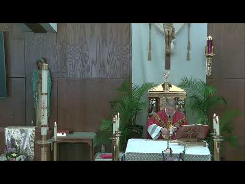 Daily Mass in English | Misa Diaria en Inglés | April 25, 2024