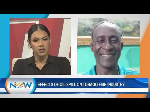 Effects Of Oil Spill On Tobago Fish Industry