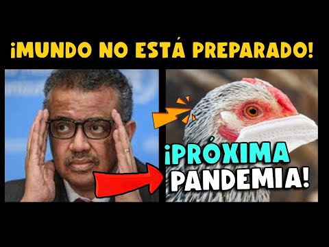 ¡CUIDADO! CIENTÍFICOS ALERTAN QUE MUNDO NO ESTARÍA PREPARADO PARA UNA PRÓXIMA PANDEMIA