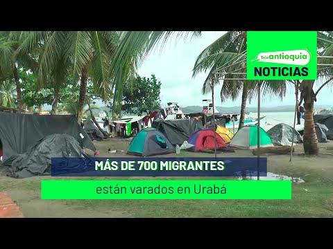 Más de 700 migrantes están varados en Urabá - Teleantioquia Noticias
