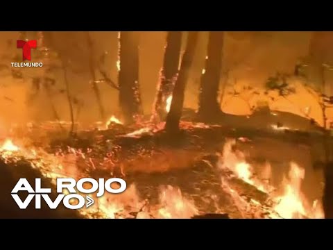 Trece incendios forestales arden en California y disparan las alarmas en Los Ángeles
