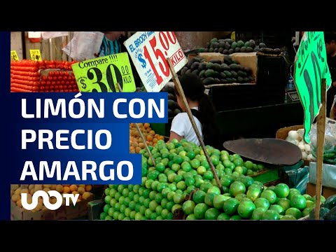 El limón sigue caro! ¿Cuánto cuesta en la Central de Abasto de la CDMX?