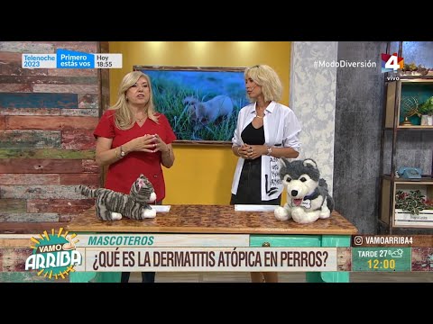 Vamo Arriba - La dermatitis atópica en perros