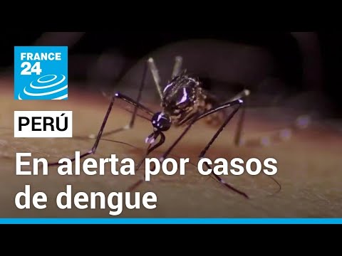 En lo que va de 2024 Perú ha reportado 31.364 casos de dengue • FRANCE 24 Español