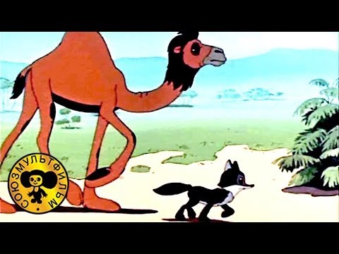 Кадр из мультфильма «Шакалёнок и верблюд»