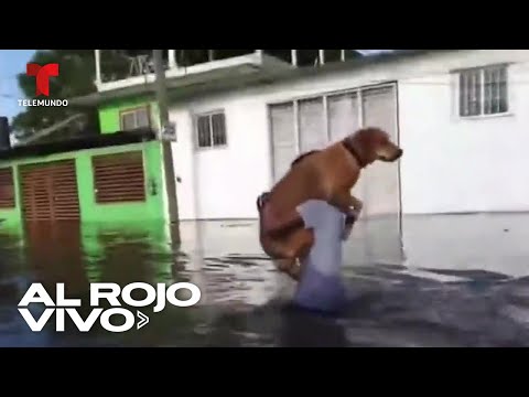 Hombre rescata a su perro de las inundaciones en México | Al Rojo Vivo | Telemundo