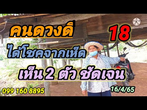 เลขเด็ดเห็ดให้โชคตามต่องวดนี้เ