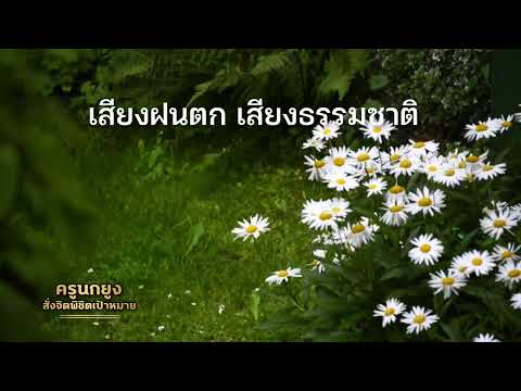 เสียงฝนตกกล่อมนอนเสียงธรรมชา