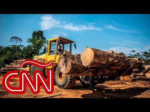 Deforestación alcanzó su peor registro a nivel mundial en el 2019