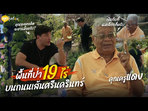 19ไร่ไม่ขายชีวิตกลางป่าเรียบ