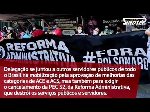 Delegação do Sindsep em Brasília pressiona deputados a aprovarem PECs 14 e 22 e cancelar a PEC 32