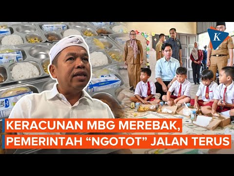 3 Alasan Dedi Mulyadi Anggap MBG Tak Layak Disantap