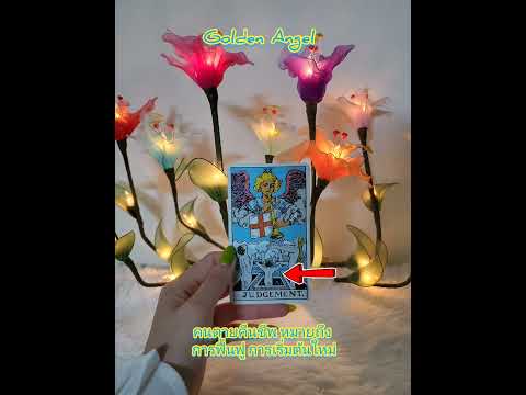 ความหมายไพ่ยิปซีtarotดูดวงไพ