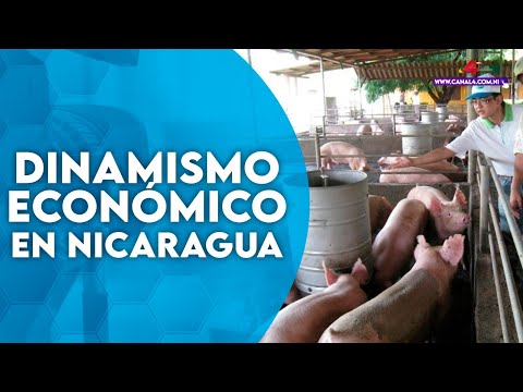 Sistema de Producción: Avanza dinamismo económico en Nicaragua