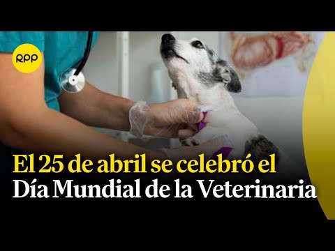 El 25 de abril se celebró el día mundial de la veterinaria
