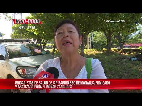 Barrio 380 de Managua fumigado y abatizado para eliminar zancudos – Nicaragua