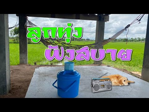ลูกทุ่งเพราะ-ฟังอยู่เถียงนา ลูกทุ่งเพราะ-ฟังอยู่เถียงนา