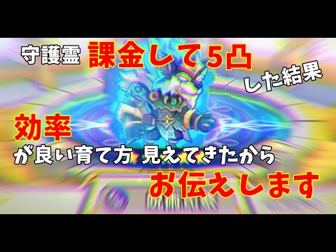 【キノコ伝説】守護霊情報追記！フル課金して守護霊育ててみてわかった効率よく育てる方法