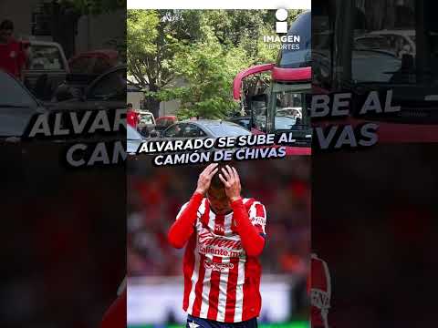 ¿No hubo sanción de #Chivas al Piojo Alvarado?