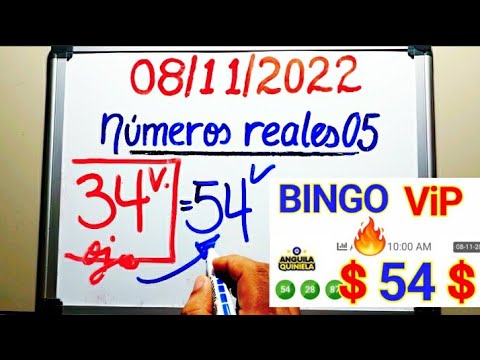 BINGO  54  PREMIO MAYOR lotería ANGUILA HOY/NÚMEROS para GANAR las LOTERÍAS HOY 08 de NOVIEMBRE