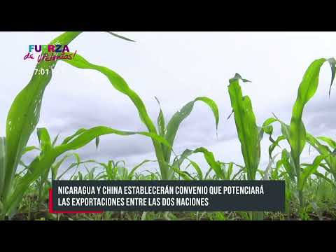 Nicaragua y China firmarán el 14 de julio el acuerdo de cosecha temprana