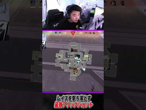 レイズを撃ち落とす最強フリックショット