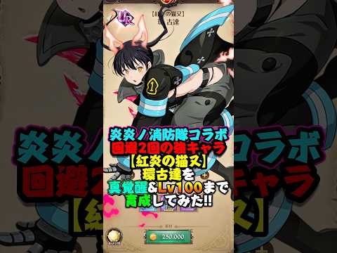 【グラクロ】炎炎コラボ1番の当たり枠!?【紅炎の猫又】環 古達を真覚醒&Lv100まで一気に育成してみた【炎炎ノ消防隊コラボ】#七つの大罪 #7dsgrandcross #anime #7ds