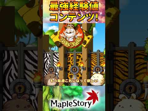 最強経験値コンテンツ！モンパ経験値250%の日！[メイプルストーリー] #メイプルストーリー #maplestory #メイプル