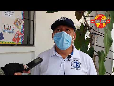 Según Los Expertos La Gripe Porcina No Llegara A Guatemala 1