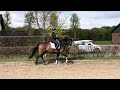 Dressage horse Prachtige Trakehner merrie v. Easy Game (nieuwe video)