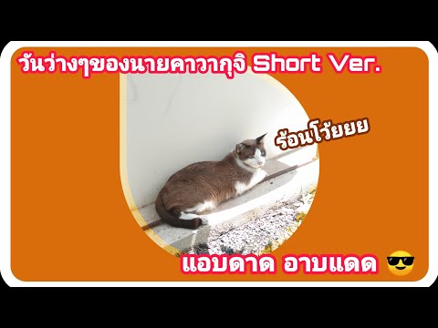 วันว่างๆของนายคาวากุจิ-Short-V วันว่างๆของนายคาวากุจิ-Short-V