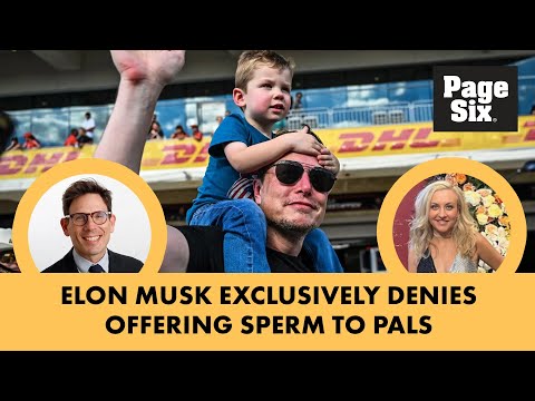 Elon Musk exclusively denies offering sperm to pals