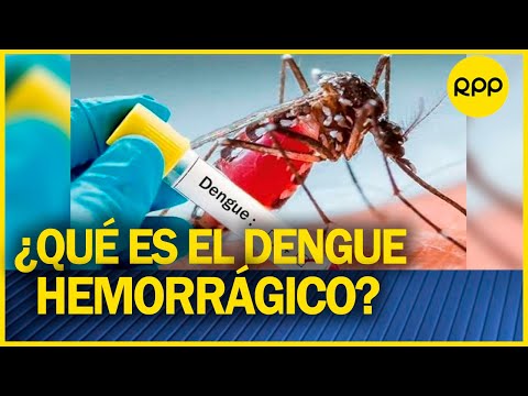 Una niña murió a causa del dengue hemorrágico en la región La Libertad