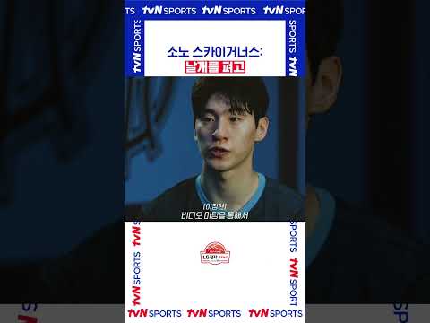 고양 소노: 날개를 펴고 #KBL