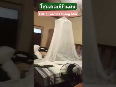 LittleForestChiangMaiส่งด