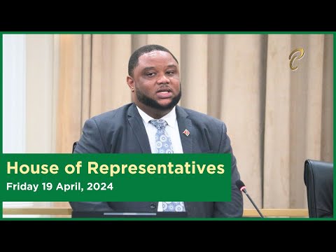 19th Sitting of the House of Representatives - 4th Session - April 19, 2024