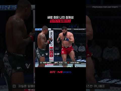 타격가 알메이다 #UFC