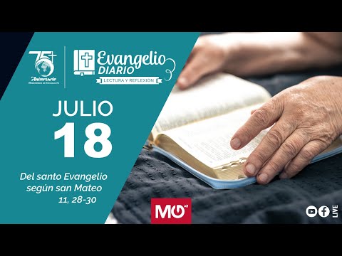 Lectura y reflexión | 18 de julio 2024 | Del santo Evangelio según san Mateo: 11, 28-30.