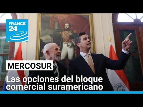 El futuro del Mercosur: ¿un mercado voraz o alejado de la ultraliberalización? • FRANCE 24