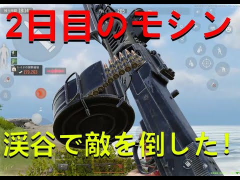 【Arena Breakout】渓谷に行ったら美味すぎた！（毎日モシン2日目）【アリブレ】