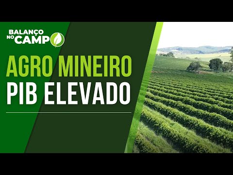 PIB DO AGRO MINEIRO CRESCE EM 2023